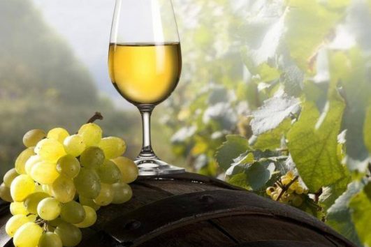 One-day Kakheti Wine Tour